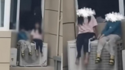 陸女逛侏儒河馬「彈跳豬」園區拿彈弓亂射 泰網怒:不歡迎來我們國家│TVBS新聞網