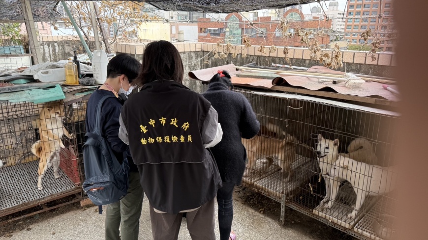 台中市某社區大樓淪貓狗繁殖場，動保處將開放民眾認養80隻貓狗。（圖／台中市政府提供）