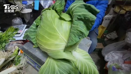 颱風走後「菜價就亂漲」？　資深菜販揭實情