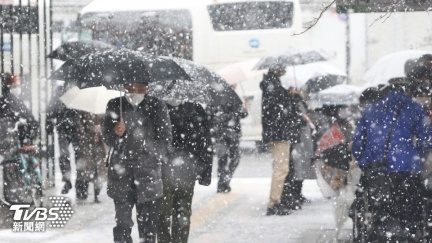 3月罕降雪下週暖如初夏　東京櫻花最快周末開