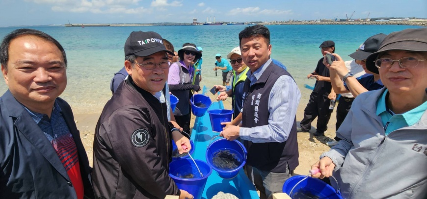 響應國際生物多樣性日　台電與澎縣府放流魚苗蝦螺