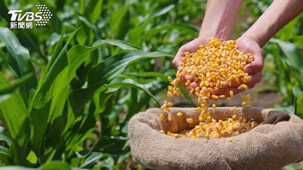 傳「4年1000億美元」買美農產換免關稅？農業部澄清