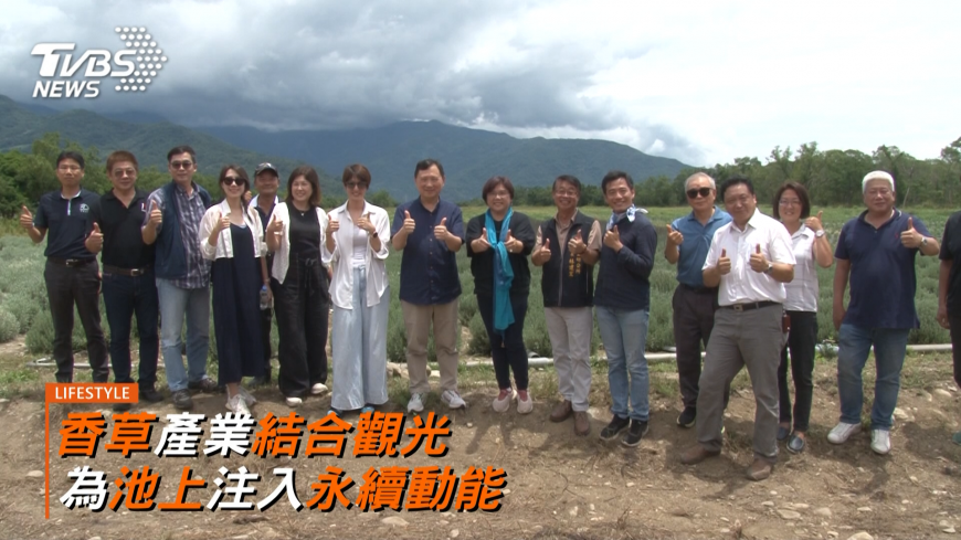 池上首批薰衣草收成 開啟永續農業.產業升級新篇章