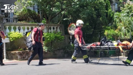 北市內湖捕蜂人出意外　卡樹上命危送醫