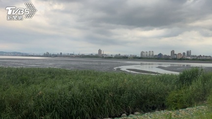 嚇死人！移工五股溼地抓螃蟹　爛泥堆中驚見男屍
