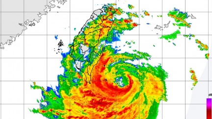 楊柳開眼了！16級↑毀壞性暴風、致災雨「這時最強」
