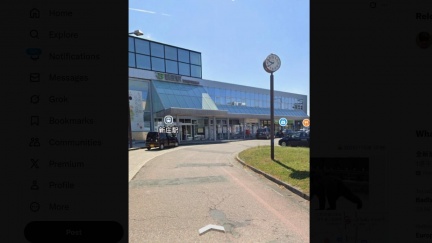 日本JR新庄站驚見熊出沒　山形新幹線全線停駛