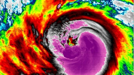 鳳凰颱風直逼強颱巔峰！穿心颱「最新路徑曝」　4地區雨最大