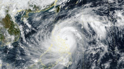 「鳳凰颱風VS樺加沙颱風」誰更肥大？　巨颱驚人對比圖曝