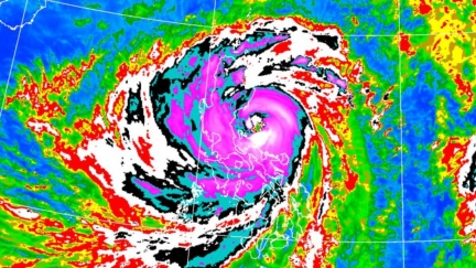 鳳凰共伴效應「整片紅到發黑」　豪雨連下5天