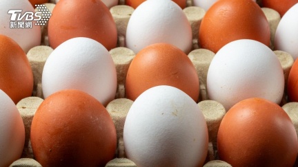 芬普尼蛋又流出　文雅畜牧場移動管制還偷賣