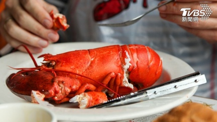 台灣大減古巴七成進口龍蝦反制　美國龍蝦成新寵