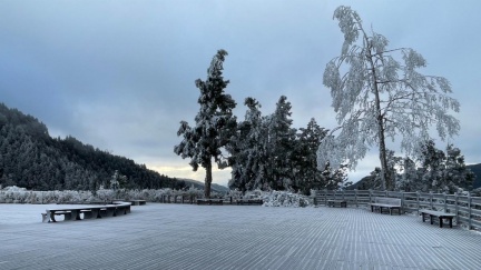 太平山低溫-1度！園區見雪白霧淞美景