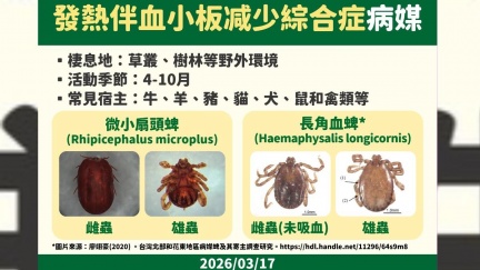 發熱伴血小板減少綜合症本土現蹤　北部男未出國確診