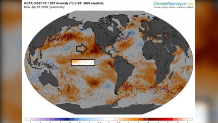 聖嬰發展訊號轉明確　鄭明典：年底恐現強事件