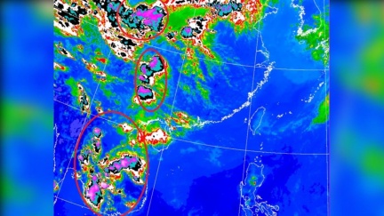下週2階段變天衛星圖大片紫　鄭明典：季節轉變特徵