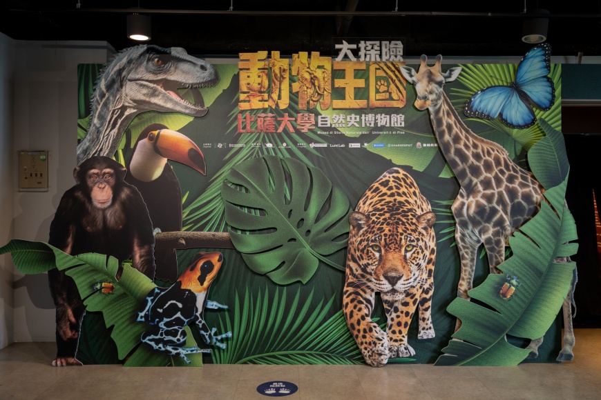 世界級自然史特展來台首展 《動物王國大探險展》結合ESG與沉浸體驗 暑假一起到科教館探索生命、守護地球