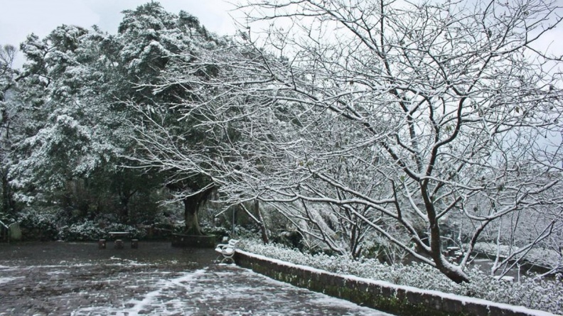 這週末台灣會下雪？霸王級寒流來襲雪景這裡看