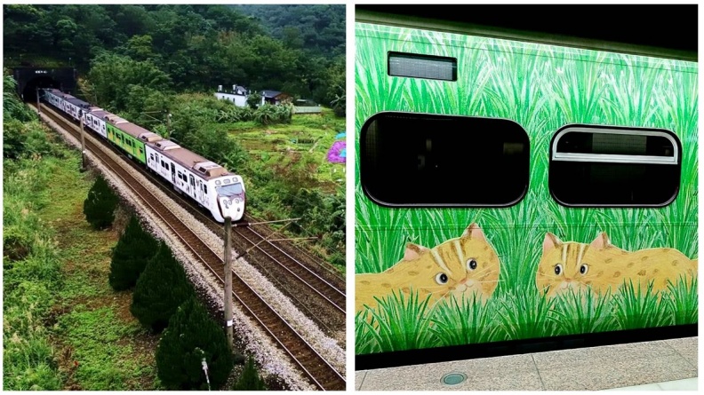 超萌生態列車  8大彩繪動物任你拍