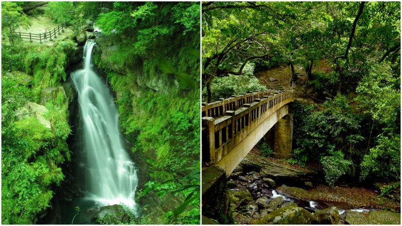 消暑涼方！三峽森林祕境小旅行：賞處女瀑布、吃鳥蛋肉圓、拍日本豪宅