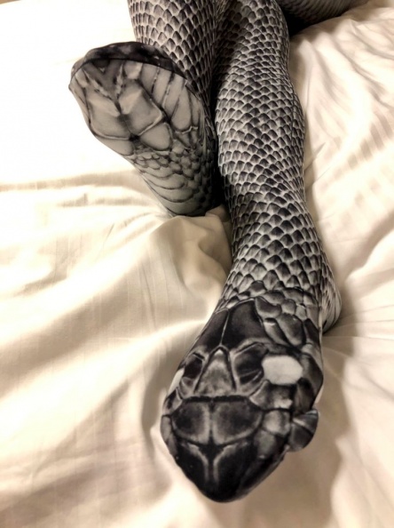 超驚悚！相似度100％「蛇紋絲襪」冬季最夯！雙腿全是鱗片