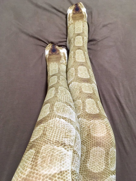 超驚悚！相似度100％「蛇紋絲襪」冬季最夯！雙腿全是鱗片