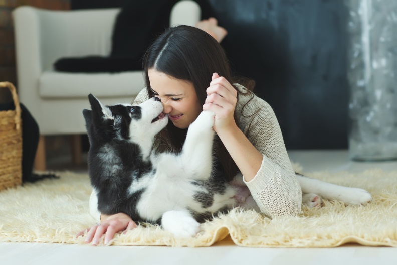 愛和毛小孩聊天不幼稚！研究：愛和寵物聊天的人情商較高！原因是﹒﹒﹒