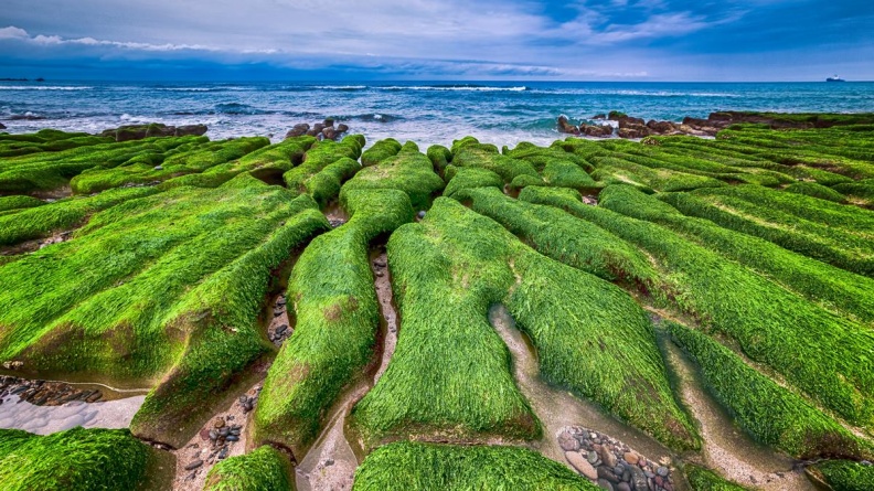 披上綠色薄紗！北海岸「老梅綠石槽」季節限定，絕美海景現身