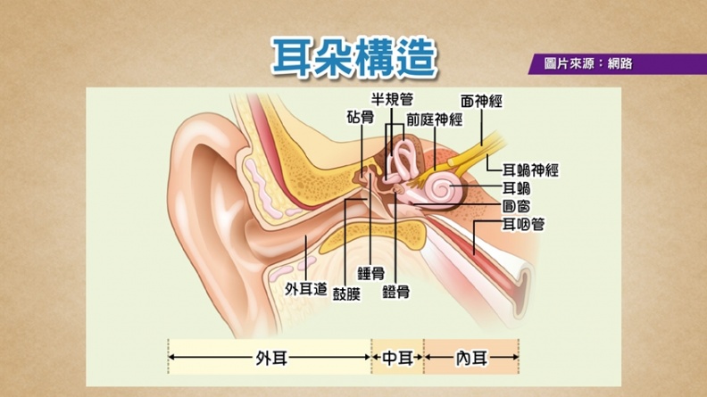吳明珠：耳垂上有「2大徵兆」，可能是心臟出問題！