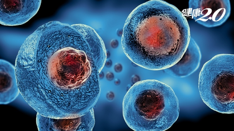 凍結細胞青春方法找到了！中研院研發「果凍細胞」技術，免疫治療再升級