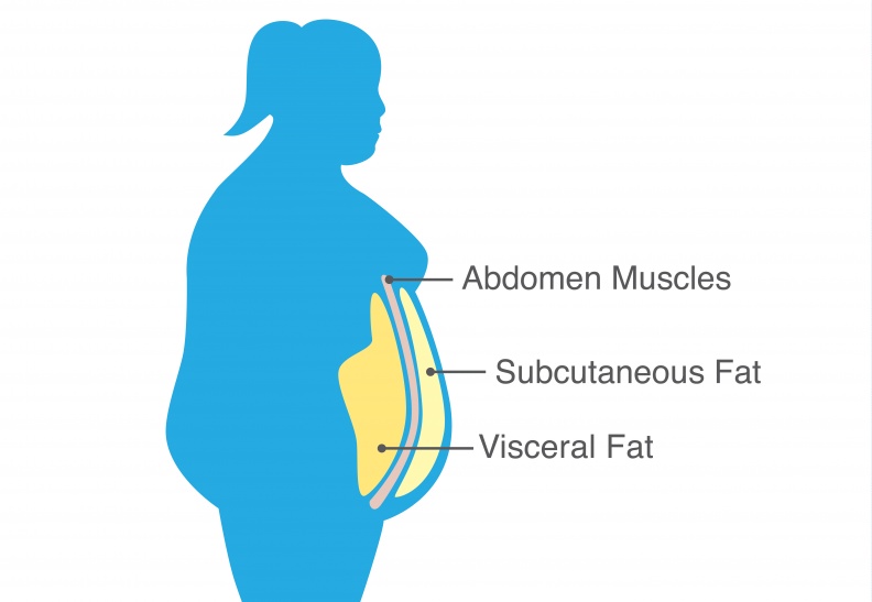 很多女生四肢細、肚子卻超大！營養師3招教妳擊退「內臟脂肪」