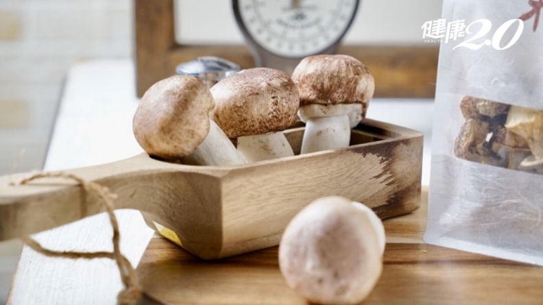 吃菇有益健康 鮮菇和乾菇怎麼煮？這樣料理最能吃進完整營養