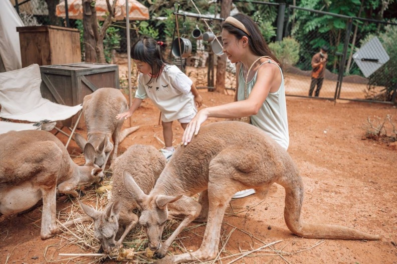 亞洲最大野生動物園！被稱為「動物界迪士尼」，必體驗「餵小老虎喝奶」萌爆