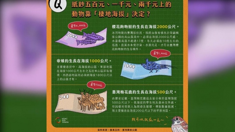 長知識了！新台幣票面金額與動物依「這個」決定，網友：１元應改成「牠」