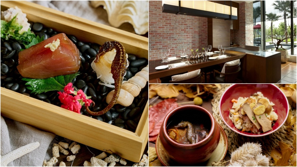 海馬可以吃！台南晶英酒店推超狂「海馬料理」，酥炸、燉湯整隻上桌