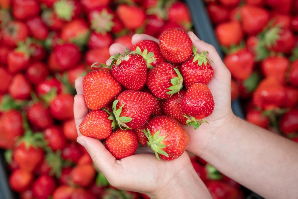 農藥殘留水果第１名！草莓怎麼洗才乾淨？食安專家曝正確３步驟