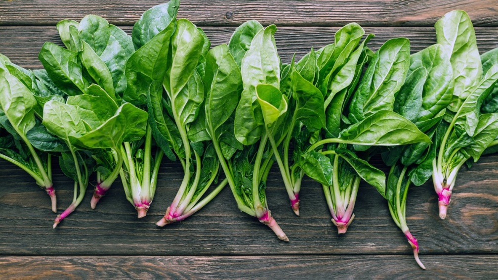 不只降低膽固醇！「１超級蔬菜」防治７種癌症，還能增強免疫力
