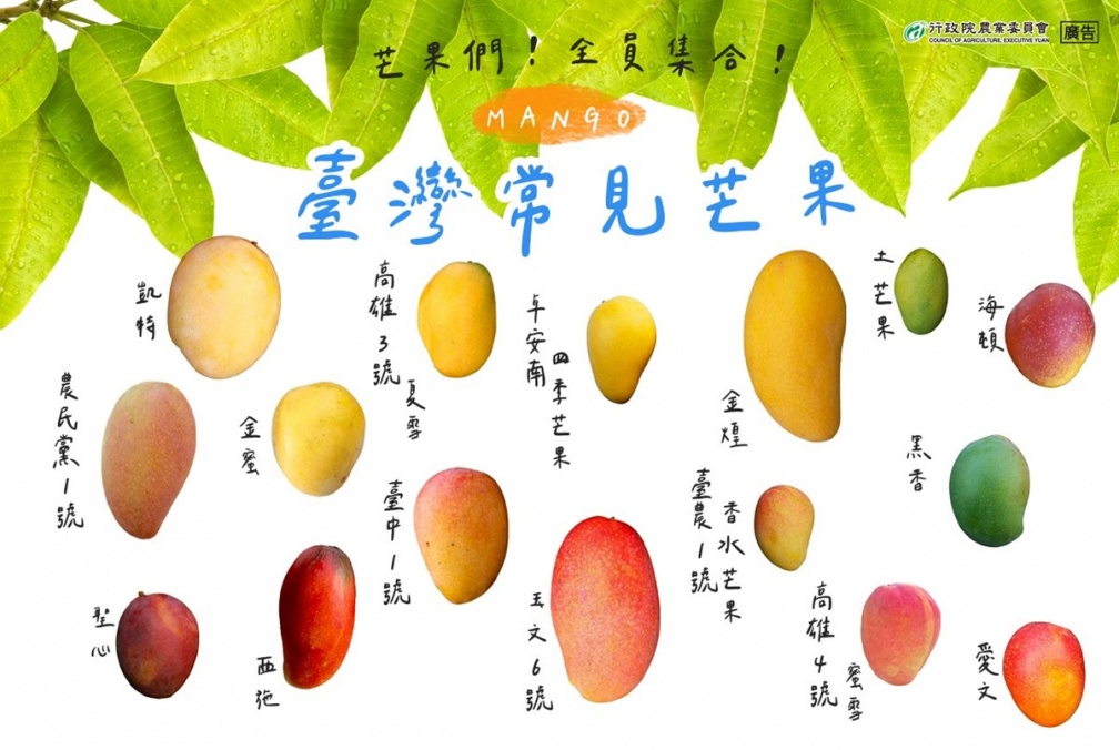 網友最愛芒果品種Top 10！「夏雪」被封芒果界LV，「第１名」還外銷日韓港