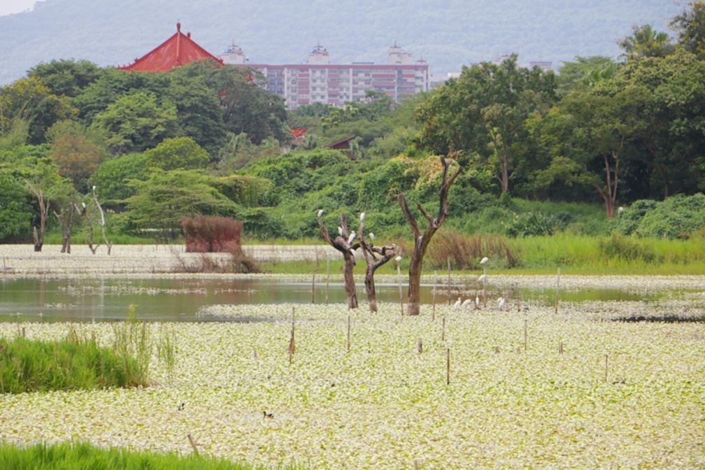 高雄好玩私房景點推薦Top25：免費景點、親子一日遊、打卡祕境