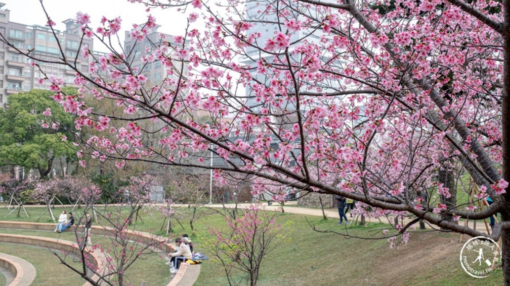 打敗內灣、六福村！「新竹最夯景點」半年吸228萬人，看動物、賞花還能走廟