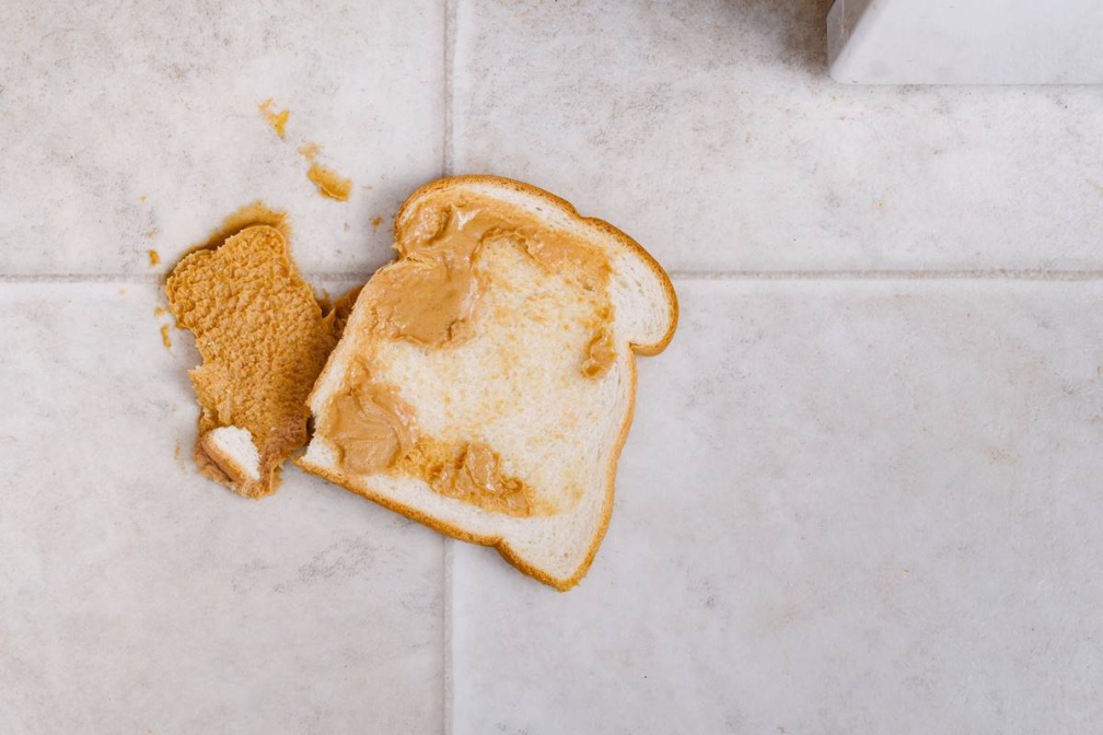 食物掉地上幾秒之內可以吃?專家揭實驗結果,做錯小心食物中毒 食物掉地上幾秒之內可以吃?專家揭實驗結果,做錯小心食物中毒