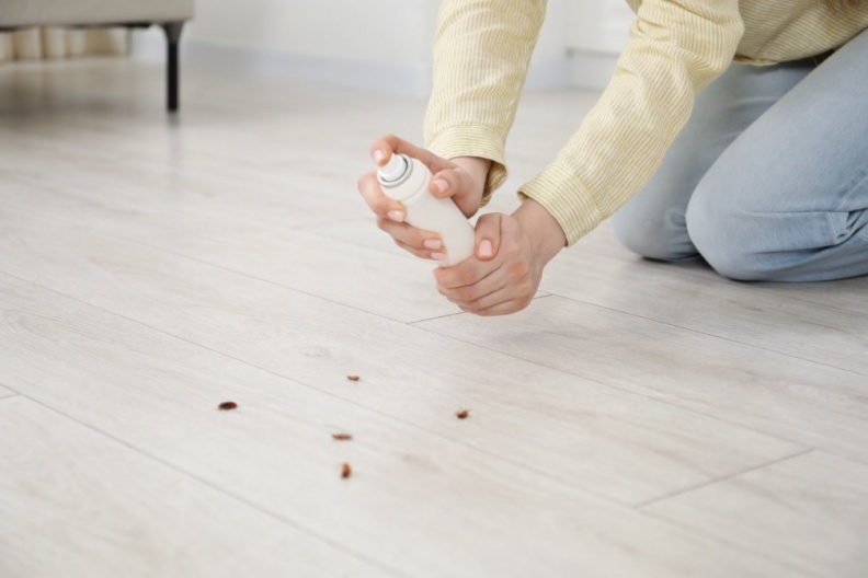 如何除蟑螂最有效?別只會用殺蟲劑,環保局再推「2絕招」防止蟑螂進家中 如何除蟑螂最有效?別只會用殺蟲劑,環保局再推「2絕招」防止蟑螂進家中