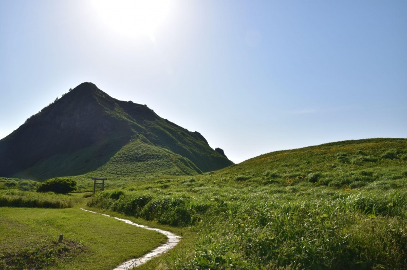 米其林綠星的評選標準是什麼？