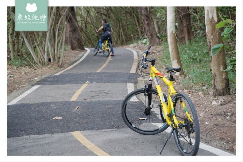 龍鳳漁港一日遊攻略|苗栗竹南人氣魚市美食、海景步道、現撈海鮮推薦! 綠光海風自行車道|新竹到竹南的療癒路線推薦