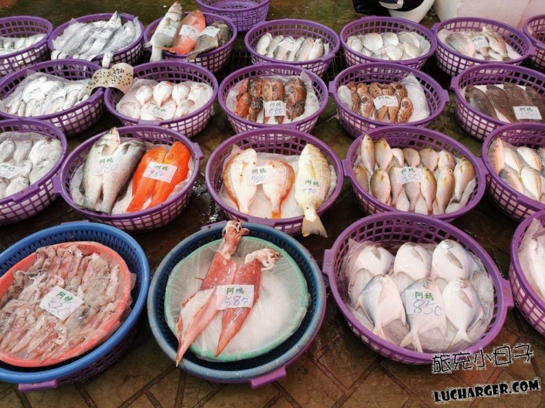 龍鳳漁港一日遊攻略|苗栗竹南人氣魚市美食、海景步道、現撈海鮮推薦! 龍鳳漁港一日遊攻略|直銷區 vs 散客區差異