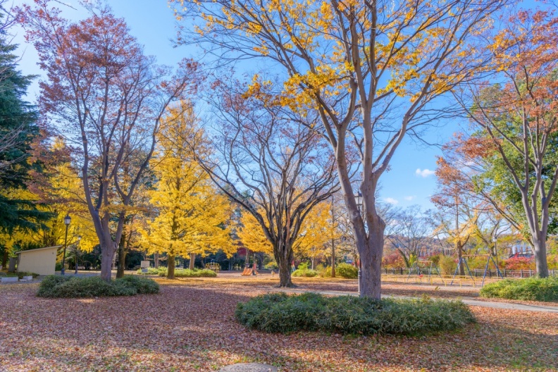 立秋後天氣會變涼嗎？秋老虎現象解析