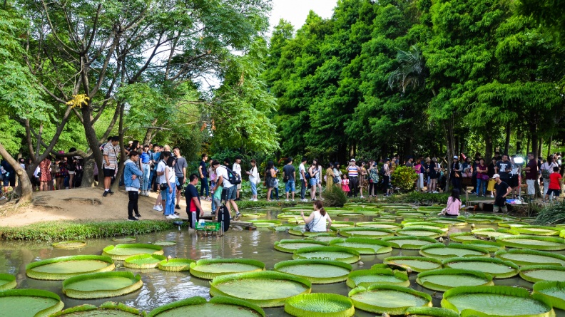 清境農場、埔心牧場都輸了！全台最夯農場狂吸86萬人，免費入園、拍美照
