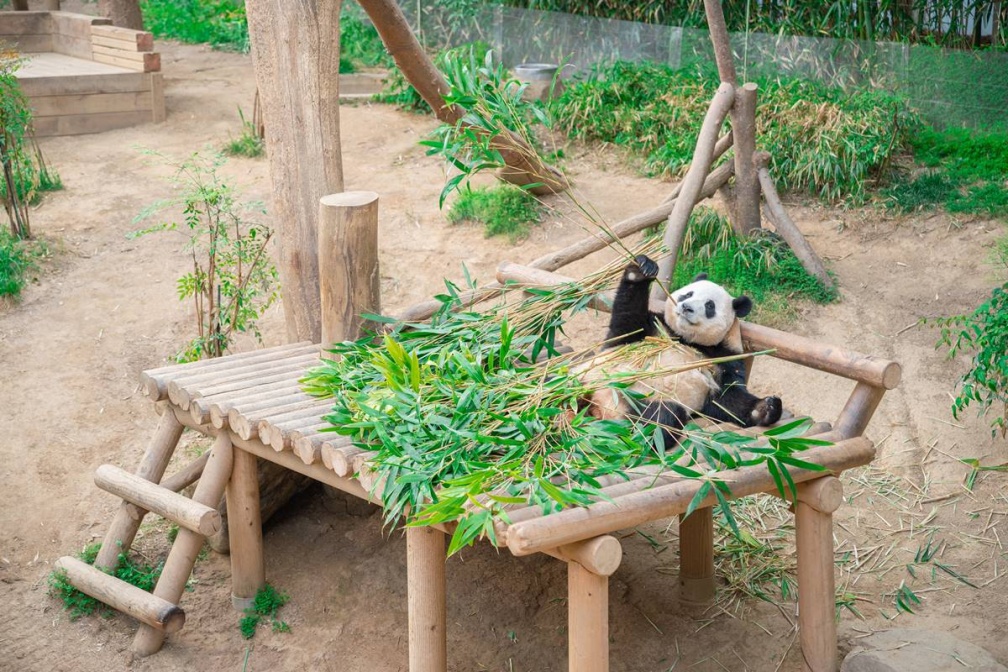 東京迪士尼排第2!網友推薦10大國外遊樂園,冠軍各年齡層都愛還有魔法世界 東京迪士尼排第2!網友推薦10大國外遊樂園,冠軍各年齡層都愛還有魔法世界