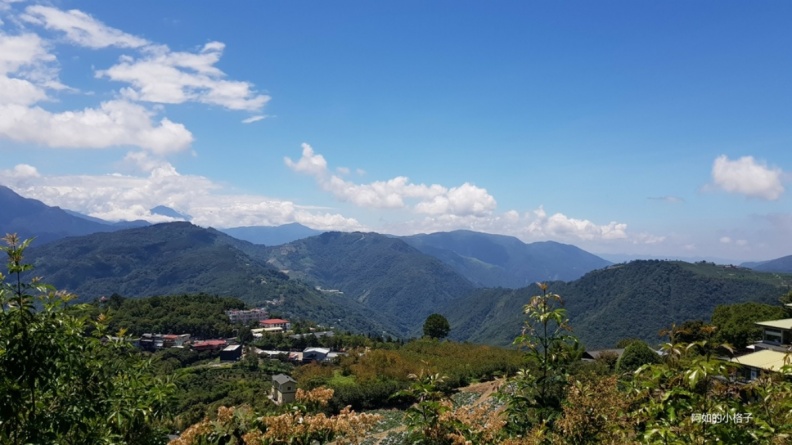 南投美食地圖！草屯、埔里、清境日月潭攻略，必吃意麵肉圓、紅玉紅茶、甕缸雞