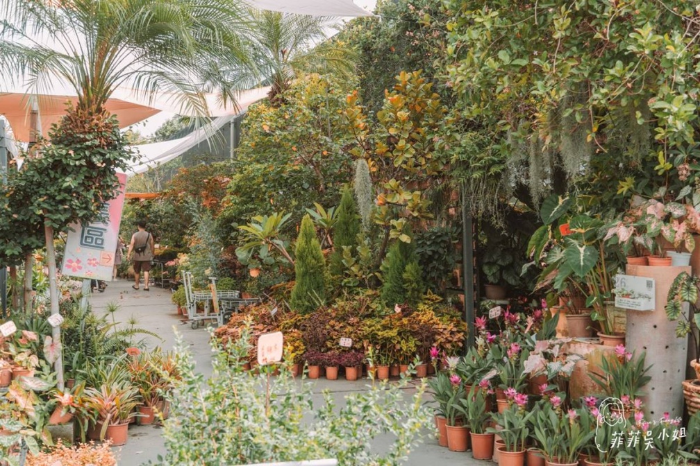 八卦山、溪湖糖廠都輸了!「彰化最強景點」狂吸1468萬人,美食多、百逛不膩 八卦山、溪湖糖廠都輸了!「彰化最強景點」狂吸1468萬人,美食多、百逛不膩